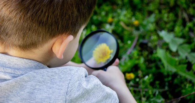 il ragazzo guarda il fiore attraverso una lente d'ingrandimento con una messa a fuoco selettiva