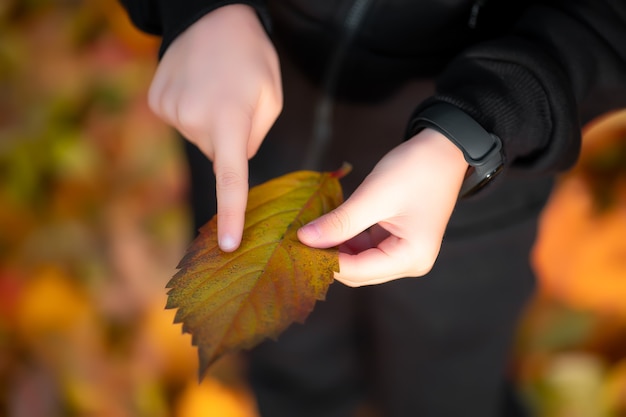 Il ragazzo ha tra le mani una foglia d'autunno, sulla quale indica con il dito le sue vene.