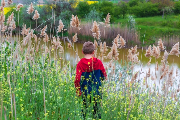 il ragazzo nella foresta