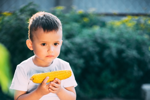 Il ragazzo sveglio in giardino o nel parco all'aperto che mangia mais bollito è molto appetitoso in estate