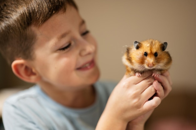 Il ragazzo tiene in mano un criceto divertente Animali domestici