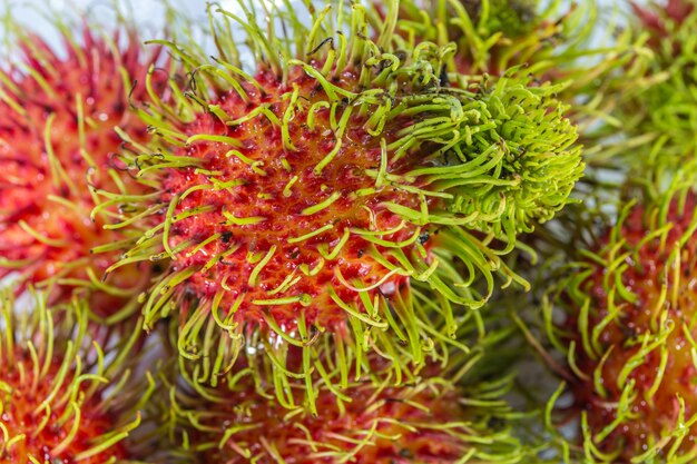 Il Rambutan fresco del primo piano è un frutto con guscio rosso dolce