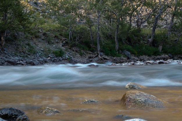 il rapido scorrere dei fiumi di montagna in una tranquilla serata estiva con un tempo di posa lungo