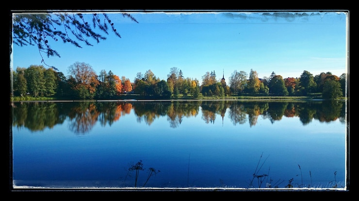 Foto il riflesso degli alberi in un lago calmo