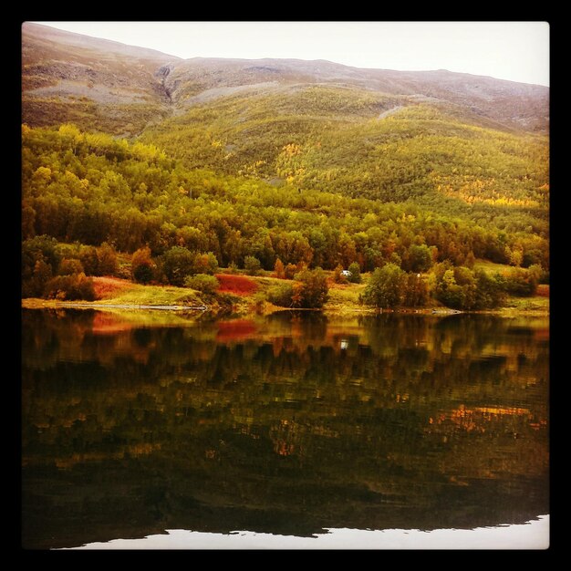 Il riflesso degli alberi nel lago