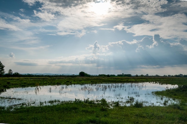 Il riflesso del cielo visto nello stagno durante una giornata di sole