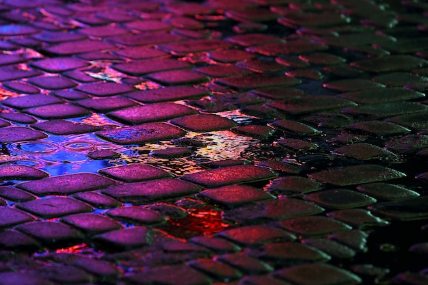 Il riflesso delle luci pubblicitarie sui sassi della strada sotto la pioggia