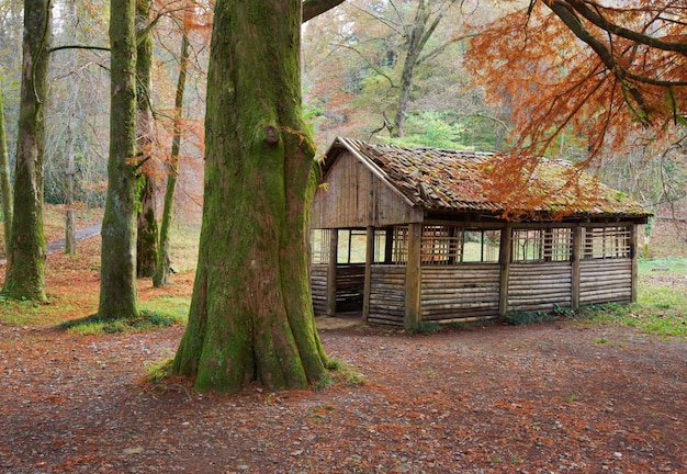 Il rifugio da picnic nel parco autunnale