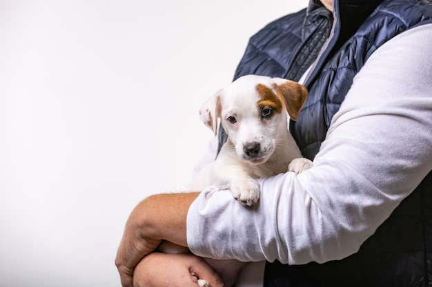 Il ritratto orizzontale dell'uomo allegro bello tiene Jack Russell Terrirer, ha un'espressione felice