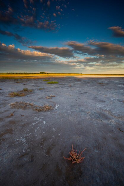 Il salnitro sul pavimento di una laguna in un ambiente semi desertico La Pampa provincia Patagonia Argentina