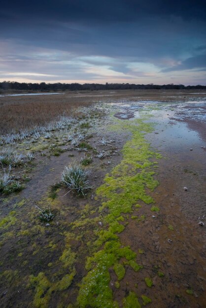 Il salnitro sul pavimento di una laguna in un ambiente semi desertico La Pampa provincia Patagonia Argentina