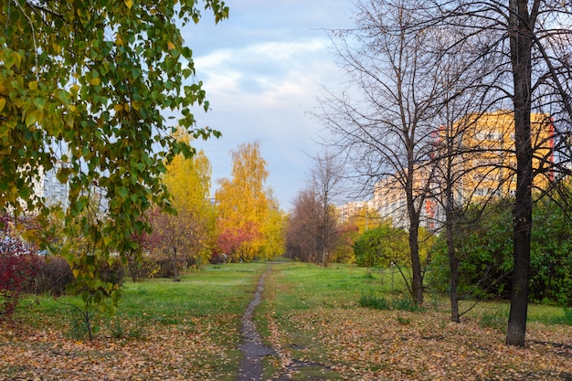 Il sentiero della città disseminato di foglie gialle, arancioni e rosse cadute. Paesaggio autunnale.