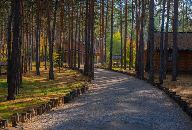 Il sentiero e le case di legno nel bosco