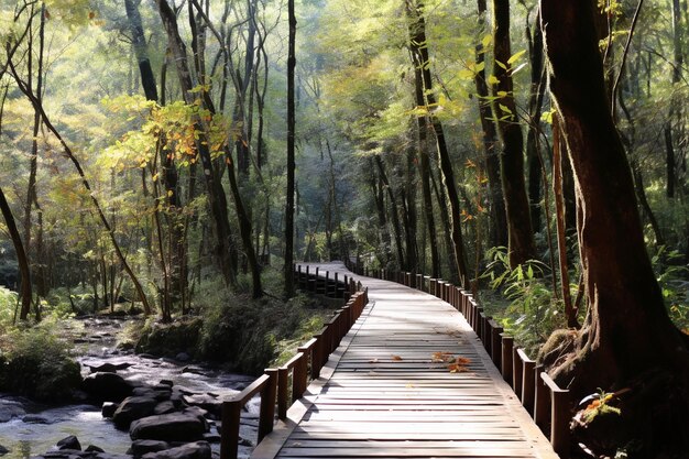 Il sentiero naturale di Ang ka nel parco nazionale di doi inthanon