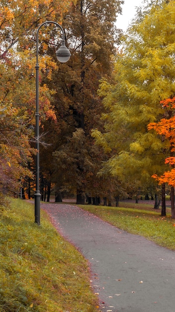 Il sentiero nel colorato parco autunnale