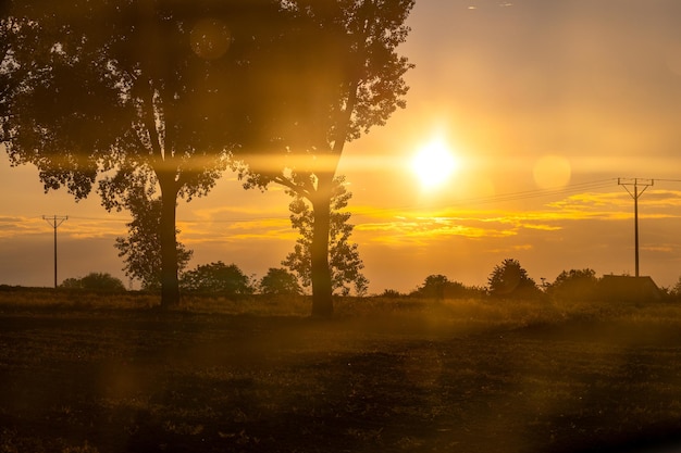 Il sole al tramonto splende attraverso i rami degli alberi paesaggio autunnale