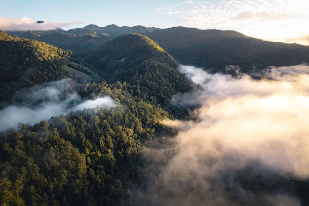 Il sole sorge nella nebbia e nelle montagne al mattino, nebbia mattutina