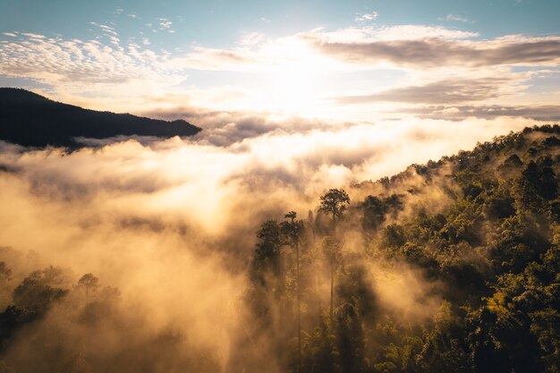 Il sole sorge nella nebbia e nelle montagne al mattino, nebbia mattutina