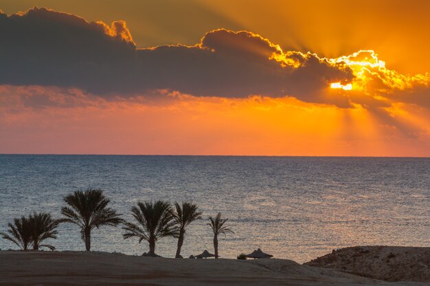 Il sole sorge sul mare