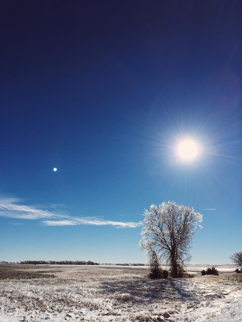 Il sole splende sul campo erboso