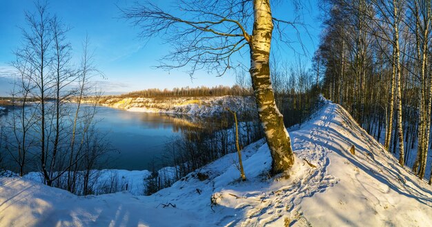 Il sole splendente illumina gli alberi spogli sull'alta sponda del bacino idrico Il primo manto nevoso