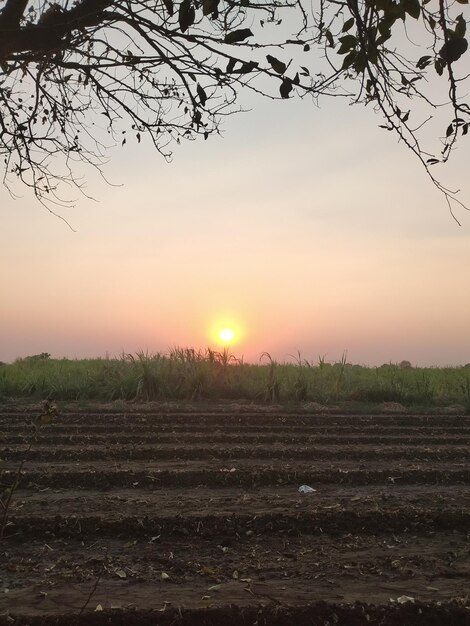 Il sole sta tramontando all'orizzonte