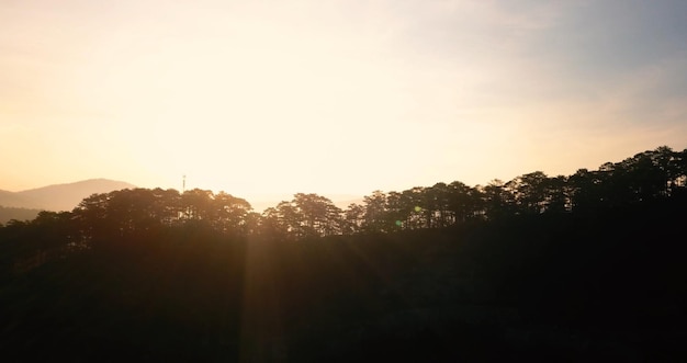 Il sole sta tramontando sugli alberi