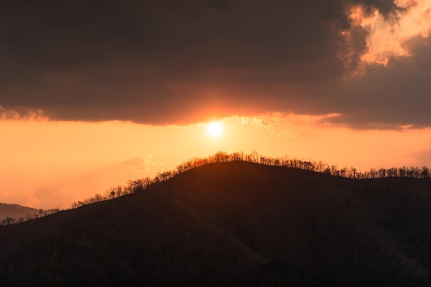 Il sole sulla vetta della montagna con l'albero secco la sera