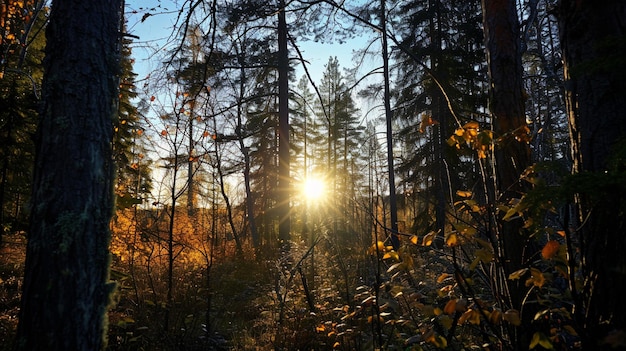 il sole visto tra gli alberi della foresta Ai Generative