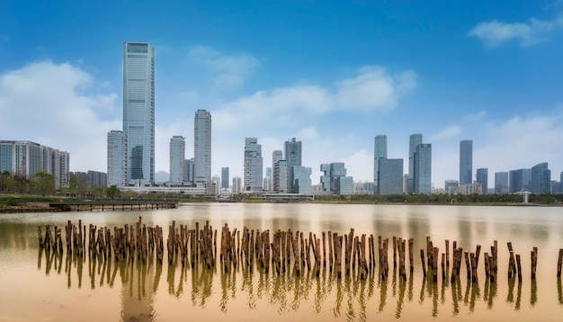 Il talento di Shenzhen Park City Skyline