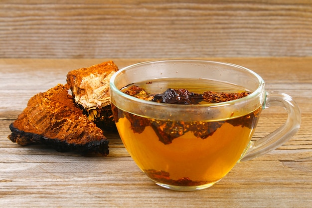 Il tè curativo da chaga di betulla è usato nella medicina popolare.