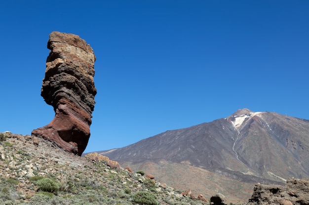 Il Teide e l'albero