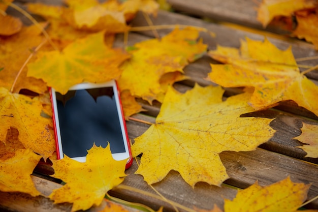 Il telefono cellulare e le foglie di acero intorno su un tavolo