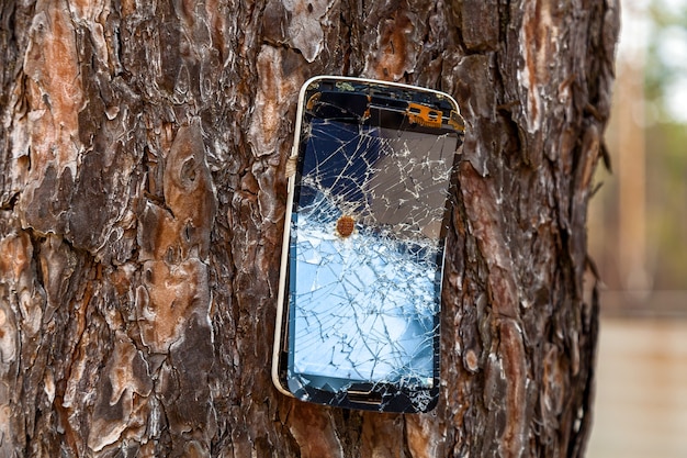 Il telefono rotto con crepe inchiodato al tronco di un grande albero.