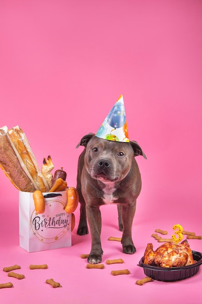 Il tema del compleanno del cane Borsa regalo ossa panini salsicce salsiccia su sfondo rosa