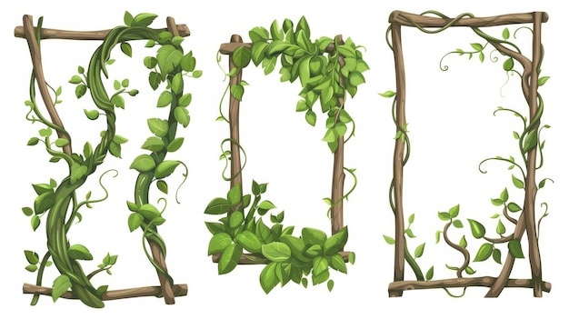 Il tema del gioco è la pianta d'arrampicata della giungla, una vite fatta di rami contorti e incastrati con foglie verdi. Illustrazione moderna di un gambo di un albero della foresta pluviale di forma rettangolare e circolare.