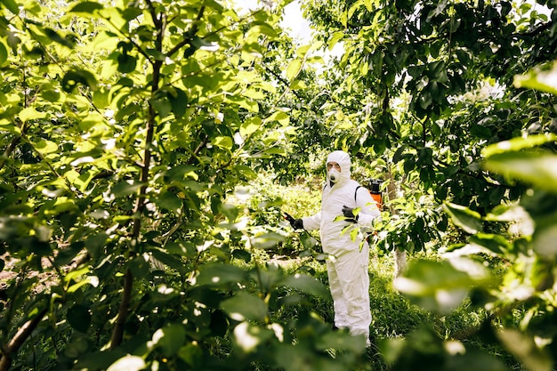 Il tema dell'agricoltura industriale. Una persona spruzza pesticidi o insetticidi tossici su una piantagione. Controllo delle infestanti.