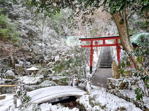 Il tempio Nanzoin è il tempio buddista di Shingon nel punto di riferimento di Fukuoka dopo la caduta della neve