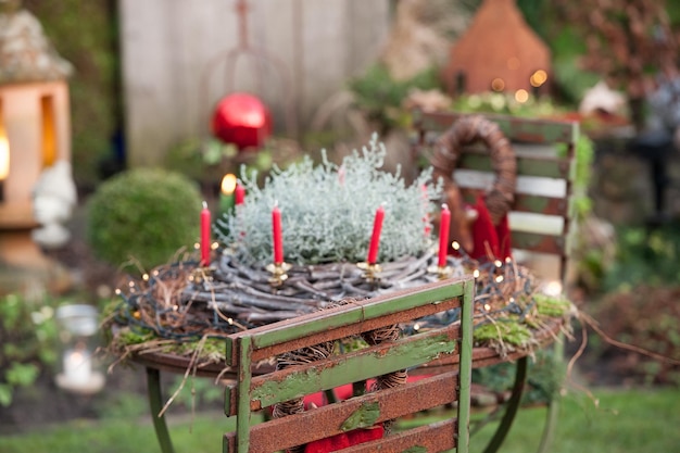 Il tempo di Natale in giardino