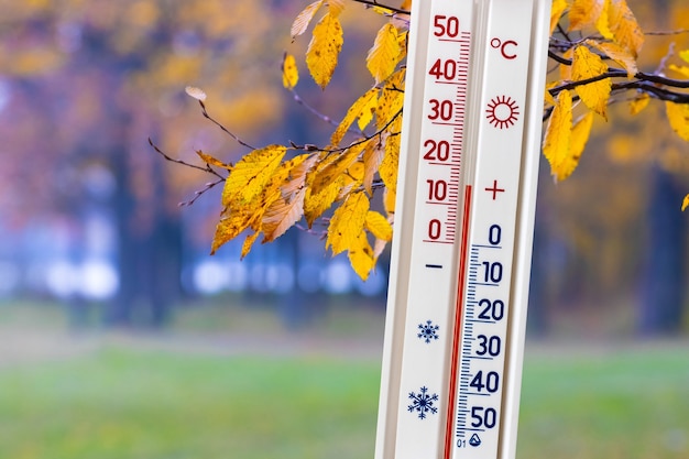 Il termometro sullo sfondo della foresta autunnale mostra 15 gradi di calore. Caldo clima autunnale