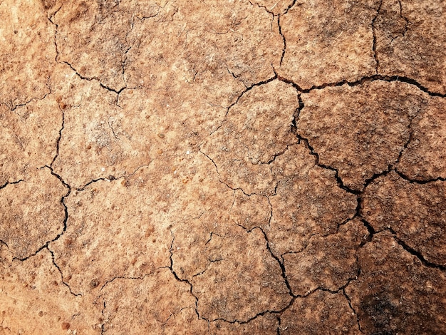 Il terreno presenta crepe nella vista dall'alto per lo sfondo