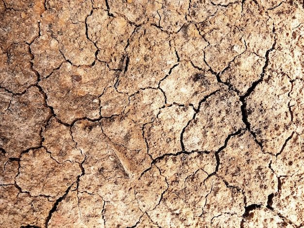 Il terreno presenta crepe nella vista dall'alto per lo sfondo