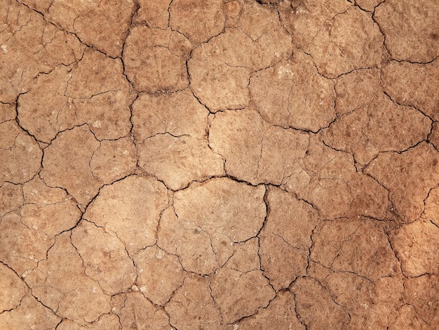 Il terreno presenta crepe nella vista dall'alto per lo sfondo