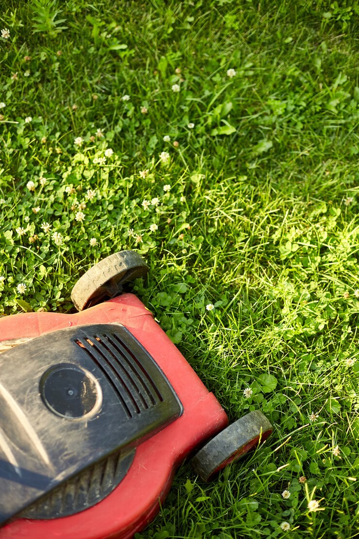 Il tosaerba falcia il prato del giardino di casa, lavoro, luce solare, ottimo design per qualsiasi scopo, concetto di giardinaggio