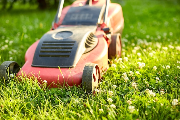 Il tosaerba falcia il prato del giardino di casa, lavoro, luce solare, ottimo design per qualsiasi scopo, concetto di giardinaggio