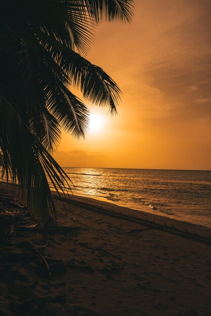 Il tramonto e l'alba sulla spiaggia dei Caraibi