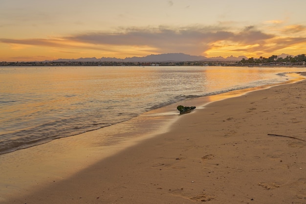 Il tramonto sul Mar Rosso all'alba