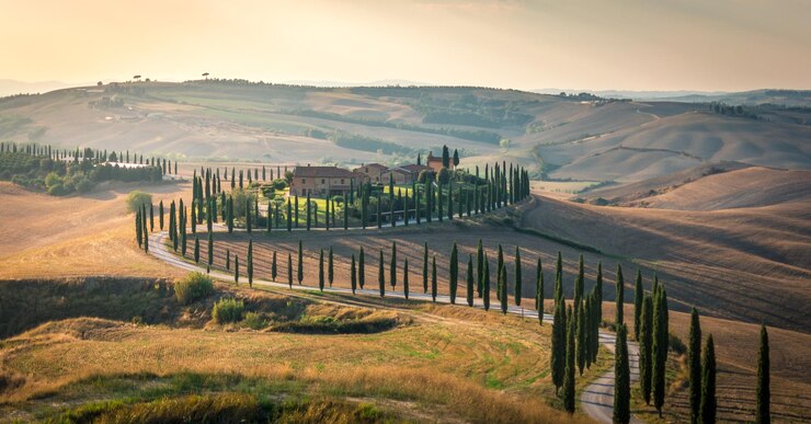 Foto il tramonto sulla strada tortuosa con i cipressi tipico viale leggera luce estiva toscana italia