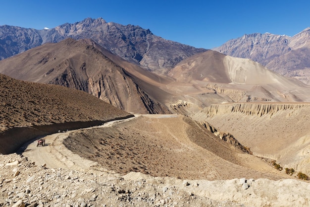 Il trattore Muktinath Sadak sta guidando lungo la strada nelle montagne dell'Himalaya
