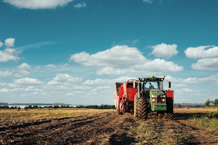 Foto il trattore sta raccogliendo patate nel campo. immagine dell'industria agricola.